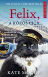 KATE MOORE - Felix, a közös cica [antikvár]