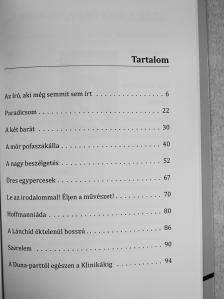 Nényei Pál - A nagy beszélgetés [antikvár]