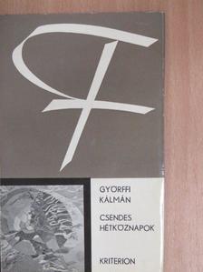 Györffi Kálmán - Csendes hétköznapok [antikvár]