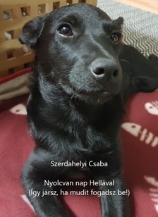 Szerdahelyi Csaba - Nyolcvan nap Hellával - Így jársz, ha mudit fogadsz be! [eKönyv: epub, mobi]