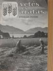 Csia Lajos - Vetés és aratás 18. évfolyam 3. szám [antikvár]