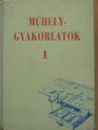 Cser D. Sándor - Műhelygyakorlatok I. [antikvár]