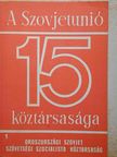 Ábel Péter - Oroszországi Szovjet Szövetségi Szocialista Köztársaság [antikvár]