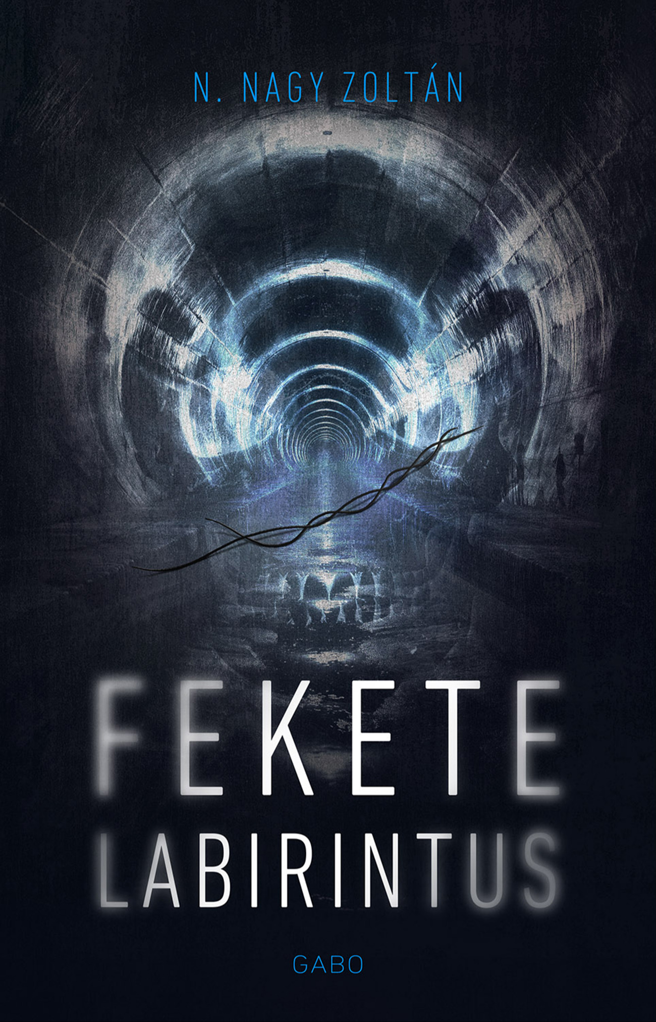 N. Nagy Zoltán - Fekete labirintus [eKönyv: epub, mobi]