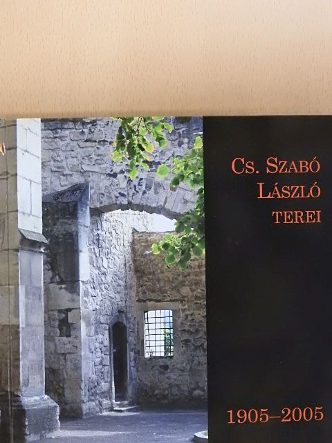 Bányai János - Cs. Szabó László terei [antikvár]