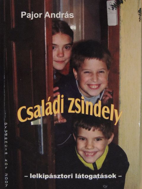 Pajor András - Családi zsindely [antikvár]