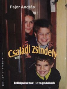 Pajor András - Családi zsindely [antikvár]