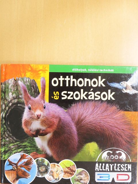 Bagoly Ilona - Otthonok és szokások [antikvár]