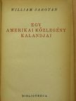 William Saroyan - Egy amerikai közlegény kalandjai [antikvár]