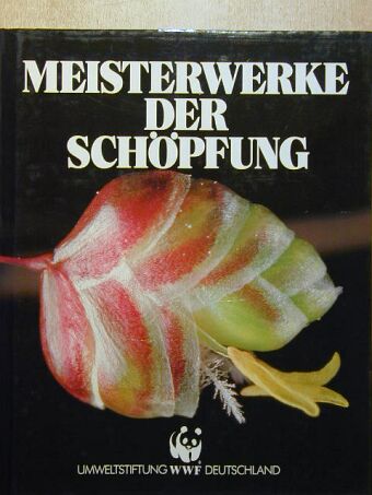 Angelika Lang - Meisterwerke der schöpfung [antikvár]