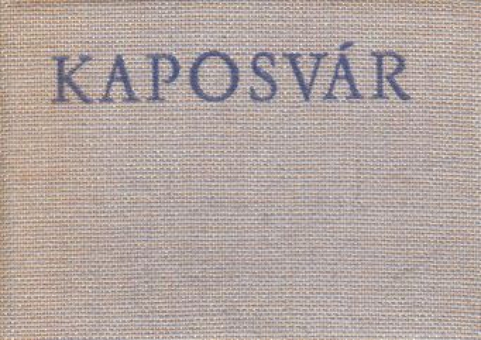 Leskó László - Kaposvár (minikönyv) [antikvár]