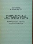 Erdő Péter - Egyház és vallás a mai magyar jogban [antikvár]