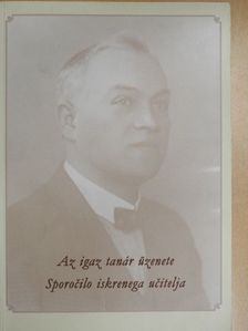 Mersich Zsuzsanna - Az igaz tanár üzenete [antikvár]