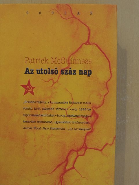 Patrick McGuinness - Az utolsó száz nap [antikvár]