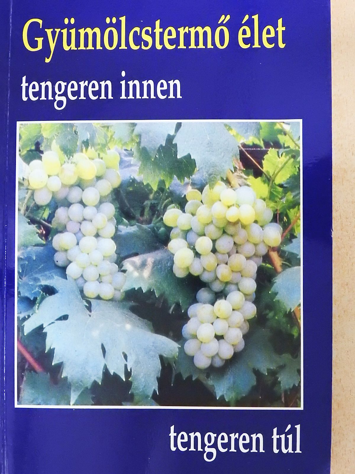 Varga Gizella M. Flávia - Gyümölcstermő élet tengeren innen, tengeren túl (dedikált példány) [antikvár]