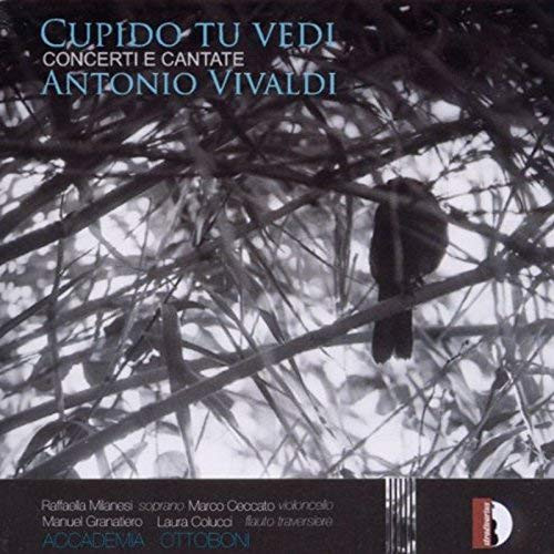 Vivaldi - CUPIDO TU VEDI CD ACCADEMIA OTTOBONI