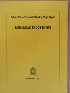 Fehér József - Kőmunkák Erdőbényén [antikvár]