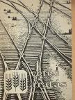 Dobos Hajnal - Vetés és aratás 20. évfolyam 1. szám [antikvár]
