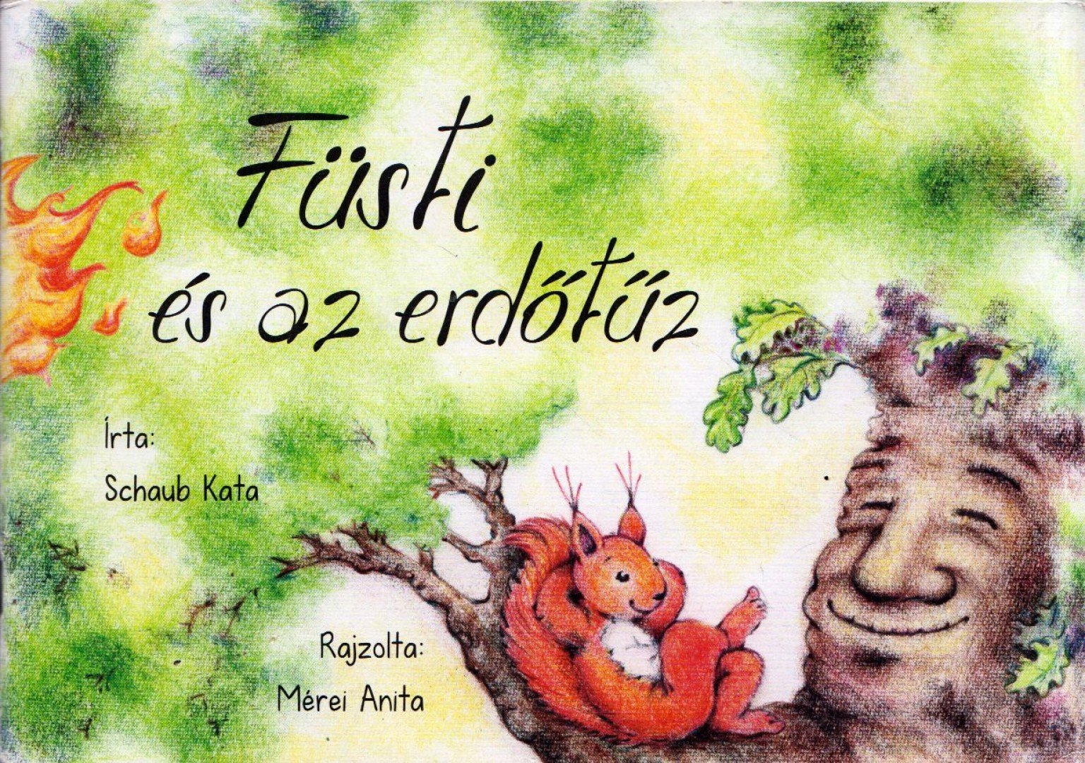 Schaub Kata - Füsti és az erdőtűz [antikvár]