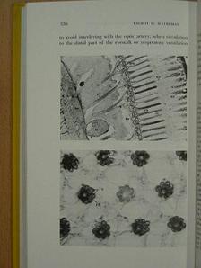 Science in Progress [antikvár]