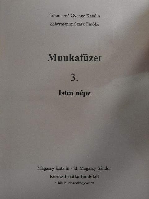 Licsauerné Gyenge Katalin - Munkafüzet 3. [antikvár]