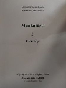 Licsauerné Gyenge Katalin - Munkafüzet 3. [antikvár]