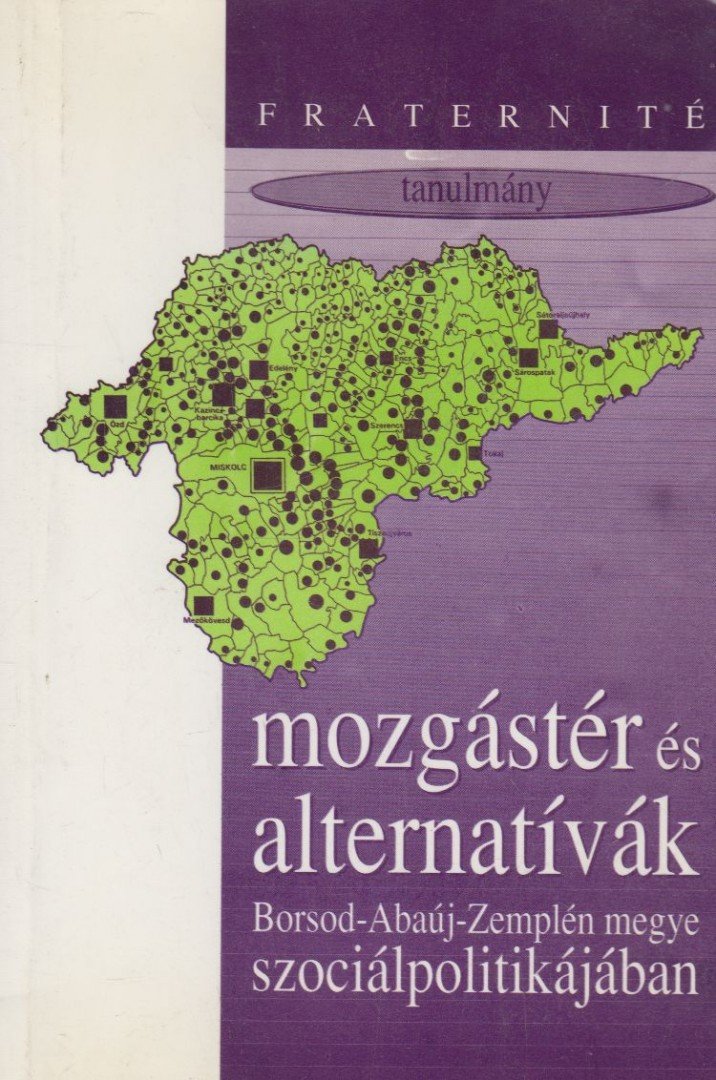 Gere Ilona - Mozgástér és alternatívák Borsod-Abaúj-Zemplén megye szociálpolitikájában [antikvár]