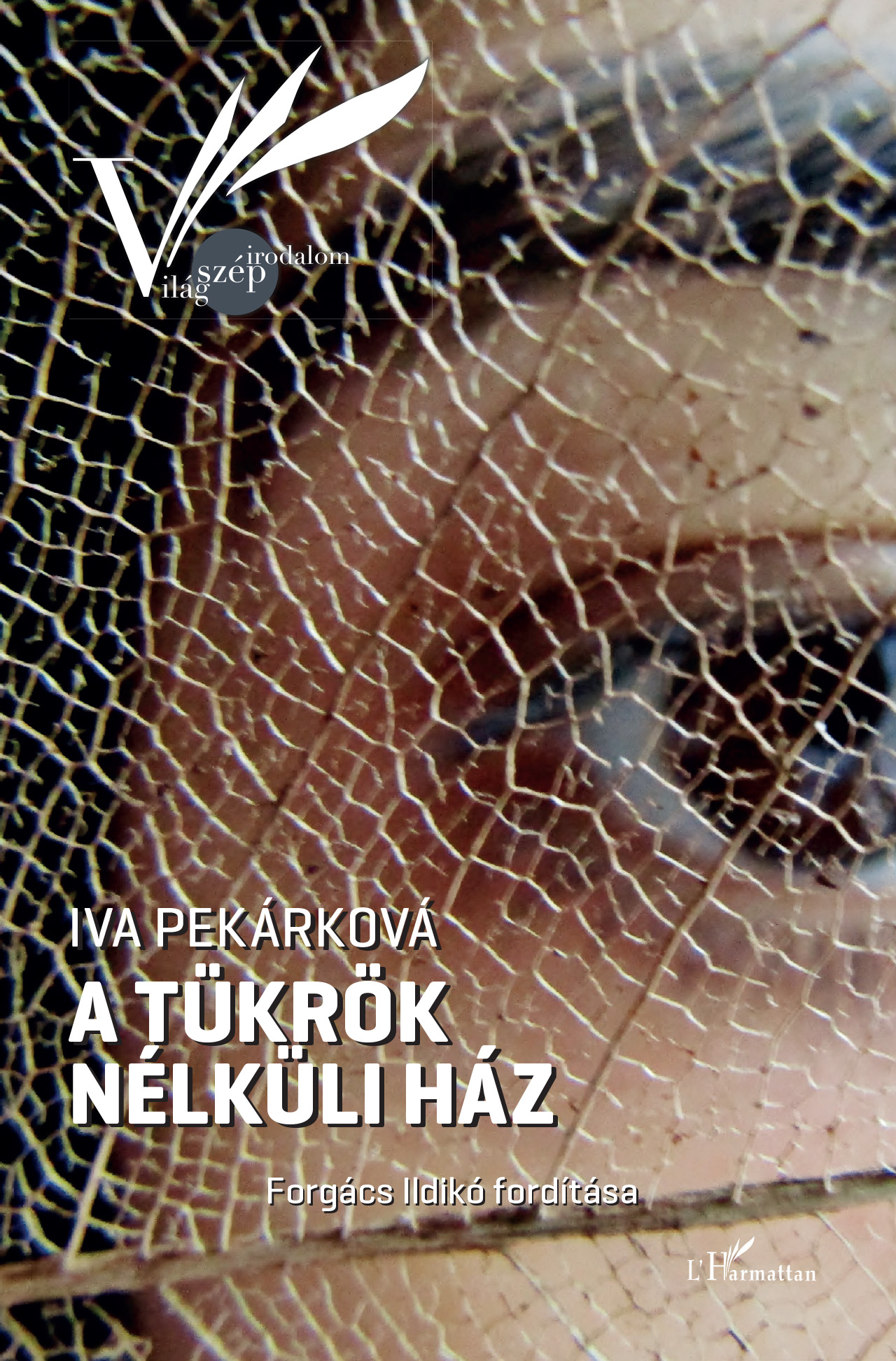 Iva Perkarková - A tükrök nélküli ház