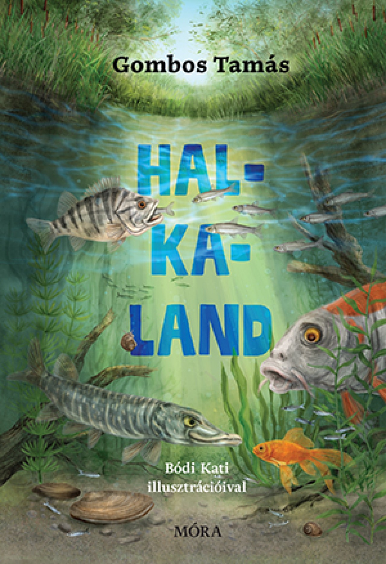 Gombos Tamás - Halkaland