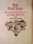 Arthur Radclyffe Dugmore - Wild-Wald-Steppe (gótbetűs) [antikvár]