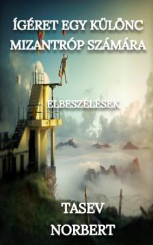 Norbert Tasev - Ígéret egy különc mizantróp számára [eKönyv: epub, mobi]
