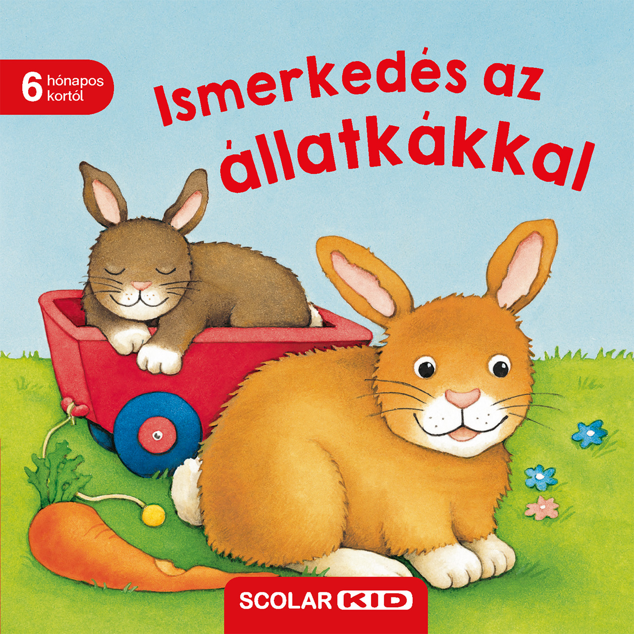 Monika Neubacher-Fesser - Ismerkedés az állatkákkal
