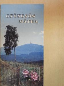 Gyöngyös - Mátra [antikvár]