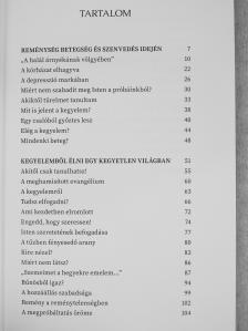 Soós Attila - Reménység a veszteségben [antikvár]