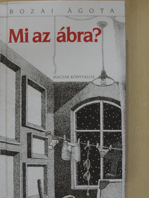 Bozai Ágota - Mi az ábra? [antikvár]