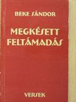 Beke Sándor - Megkésett feltámadás [antikvár]