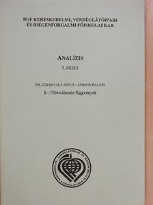 Dr. Csernyák László - Analízis 5/8. [antikvár]