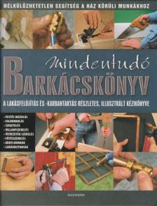 Jackson, Albert, Day, David - Mindentudó barkácskönyv [antikvár]