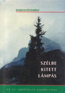 Benits Péter - Szélbe kitett lámpás [antikvár]