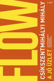 Csíkszentmihályi Mihály - A jó üzlet [antikvár]