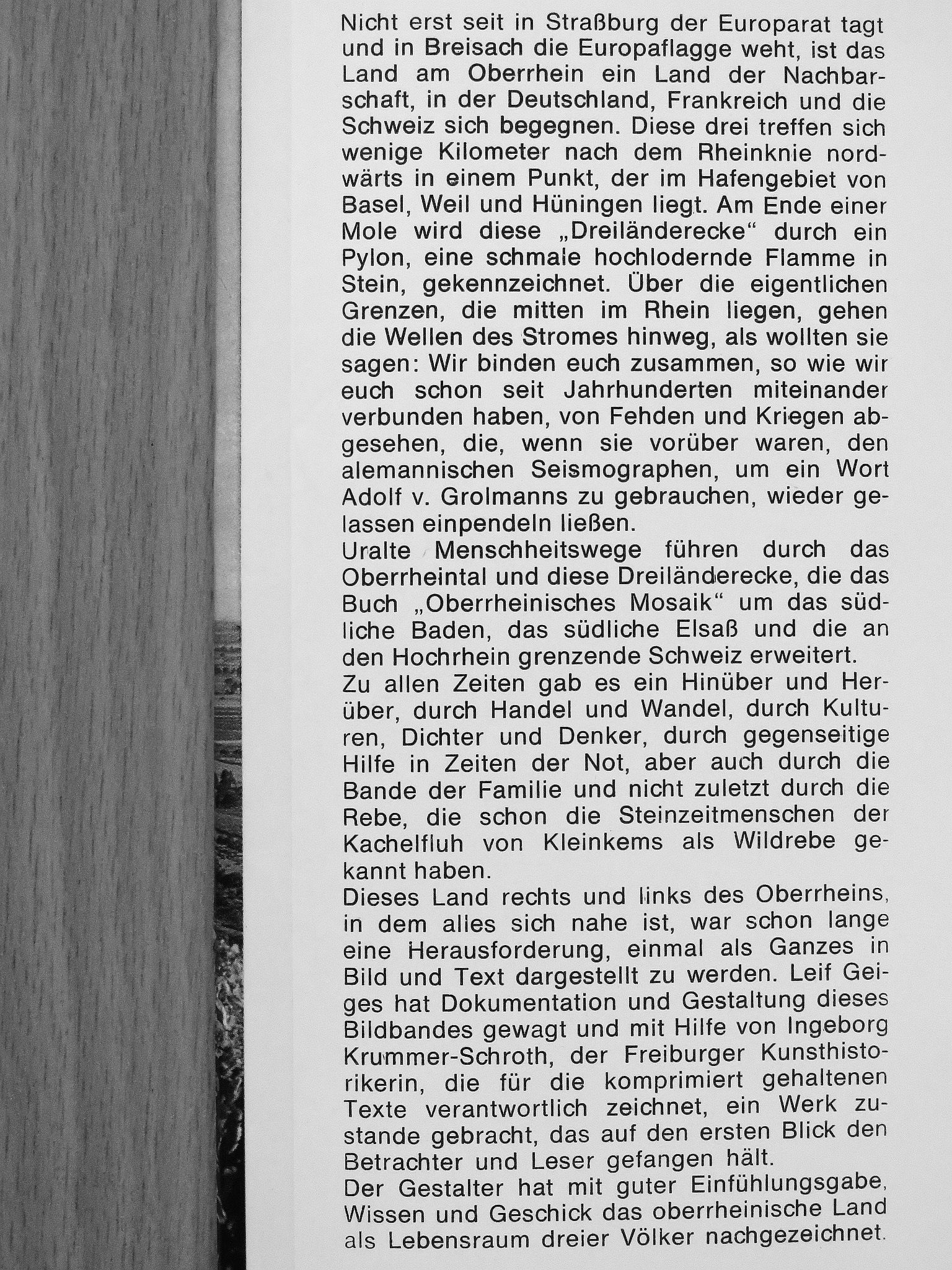 Ingeborg Krummer-Schroth - Oberrheinisches Mosaik [antikvár]