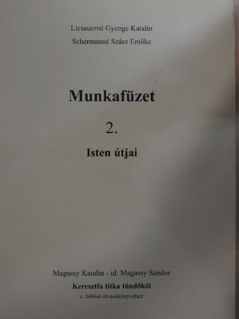 Licsauerné Gyenge Katalin - Munkafüzet 2. [antikvár]