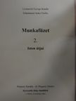 Licsauerné Gyenge Katalin - Munkafüzet 2. [antikvár]