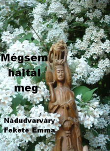 Emma  Nádudvarváry Fekete - Mégsem haltál meg [eKönyv: epub, mobi]