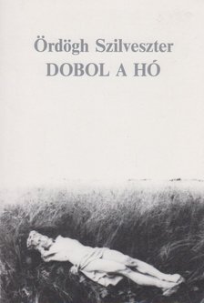 Ördögh Szilveszter - Dobol a hó [antikvár]