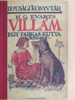 Hal G. Ewarts - Villám [antikvár]