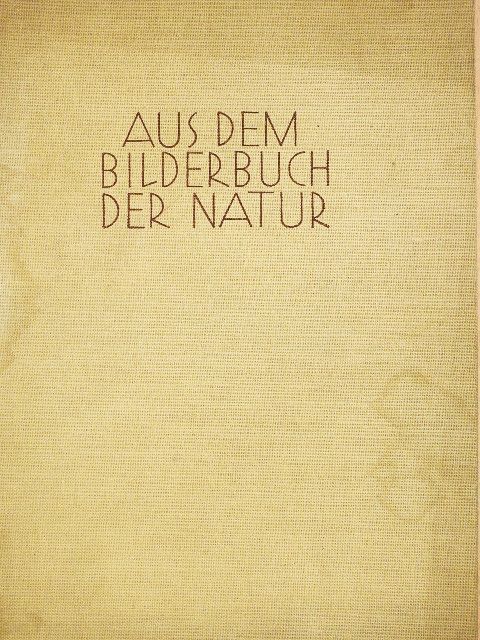 Walter Saxe - Aus dem Bilderbuch der Natur [antikvár]