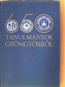 Draskóczy István - Tanulmányok Gyöngyösről [antikvár]