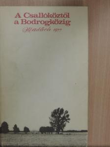 Bábi Tibor - A Csallóköztől a Bodrogközig [antikvár]