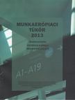 Fazekas Károly, Neumann László - Munkaerőpiaci tükör 2013 [antikvár]